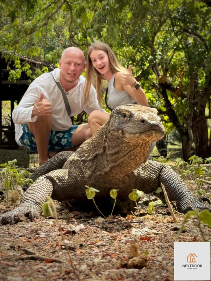 Labuan Bajo: 2D1N Komodo & Pink Beach Shared Boat Tour - Key points to know before booking