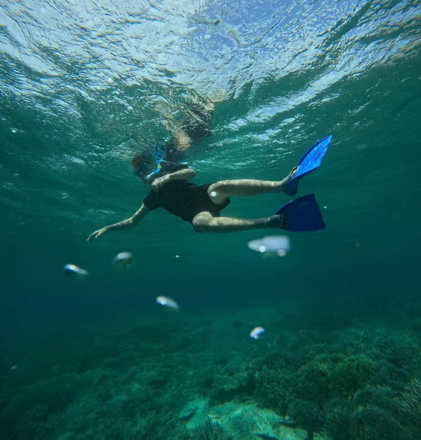 Labuan Bajo: 2D1N Komodo & Pink Beach Shared Boat Tour - Komodo Island and the ranger walk