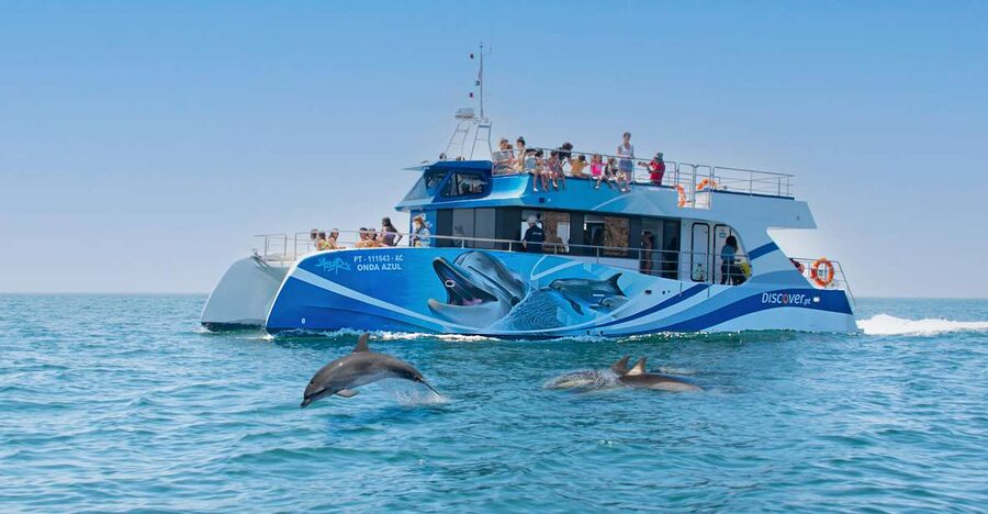 Lagos: Dolphins & Caves - Catamaran - Watching dolphins in the open Atlantic