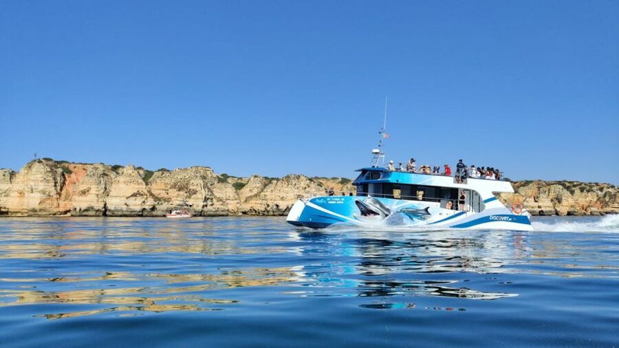 Lagos: Dolphins & Caves - Catamaran - What the marine biologist adds