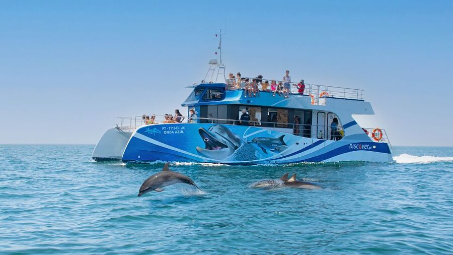 Lagos: Dolphins & Caves - Catamaran - Swimming, jumping, and the inflatable slide