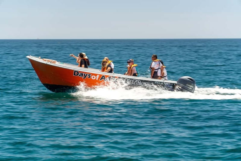 Lagos: Ponta da Piedade Caves Boat Tour - The guide makes the short trip count