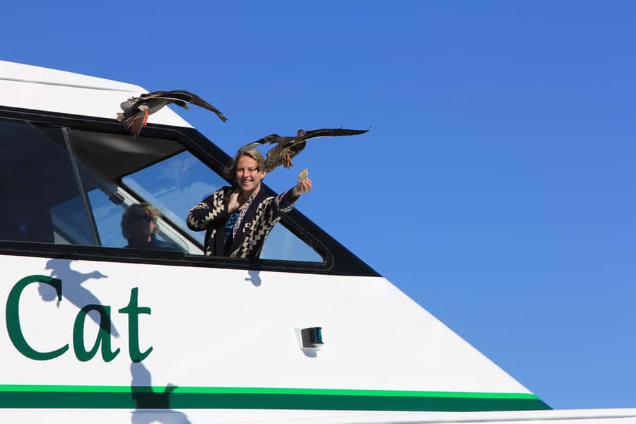 Lake Taupo: 1.5-Hour Maori Rock Carvings 5:00 PM Cruise - What happens on the 90-minute route