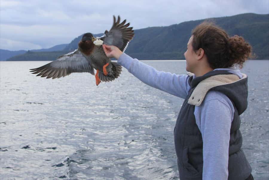 Lake Taupo: Maori Rock Carvings 10.30 AM 1.5-Hour Cruise - Who will enjoy this cruise most?