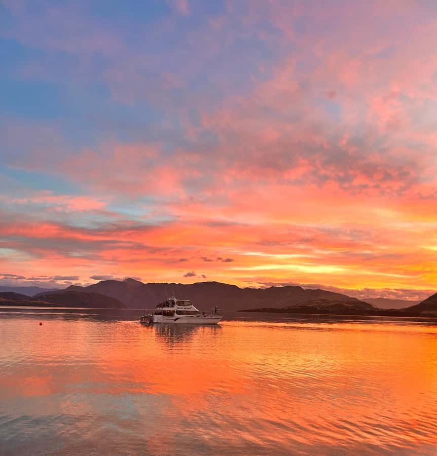 Lake Wanaka Happy Hour Cruise - A drink, cheese, and the first look at the lake