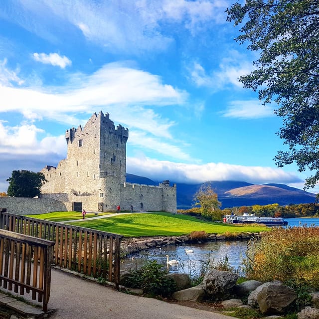 Lakes of Killarney: Boat Cruise - Ross Island, forests, and wildlife
