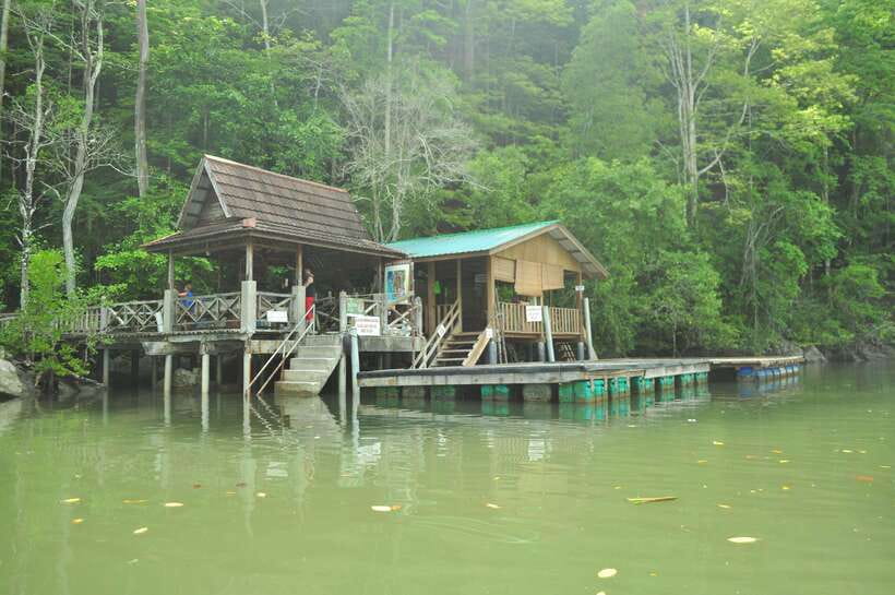 Langkawi: Kilim Mangrove Boat Tour with Lunch and Pickup - Wildlife without the circus