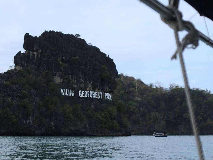 Langkawi: UNESCO Global Geopark Mangrove Cruise - Wildlife without a feeding show