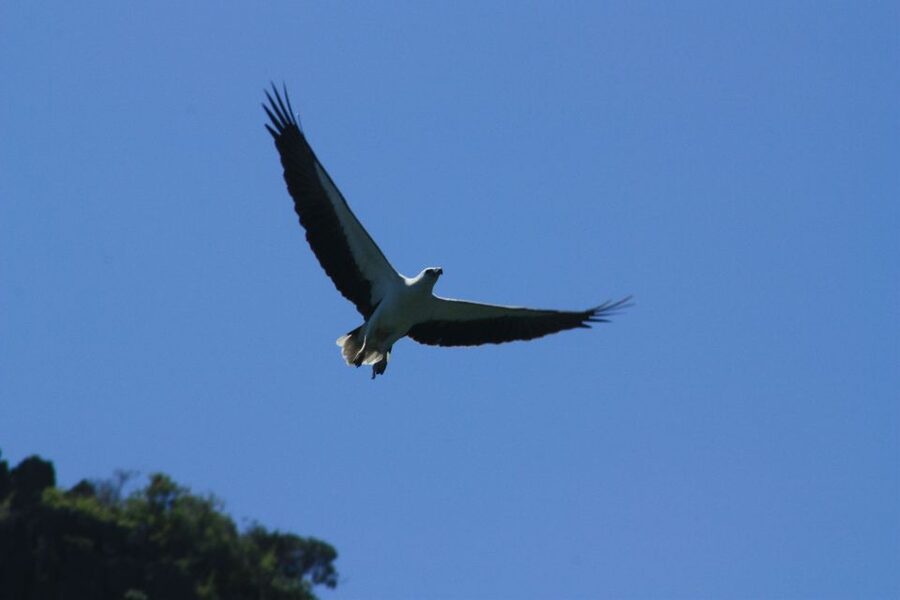 Langkawi: UNESCO Global Geopark Mangrove Cruise - The final 30 minutes on foot