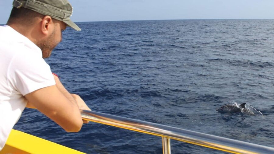 Lanzarote: 2.5-Hour Sunset and Dolphins Cruise - Key points to know before you book