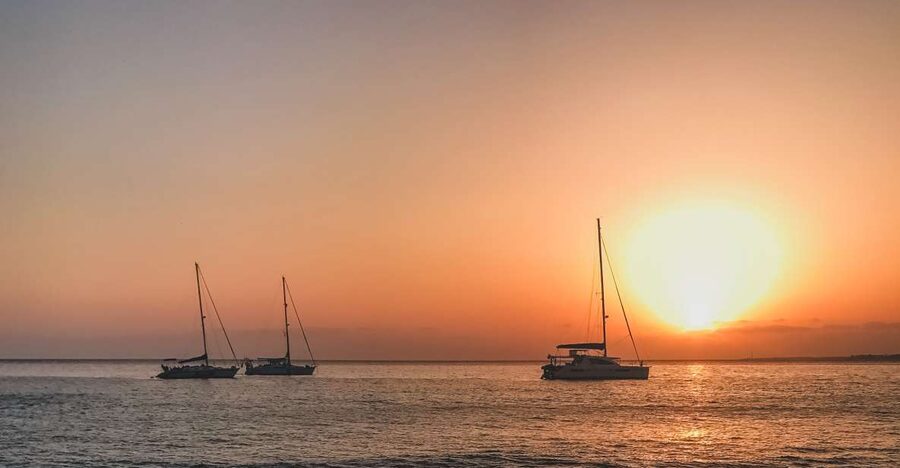 Lanzarote: Dolphin-Watching Sunset Cruise with Transfers - Quick points before you book