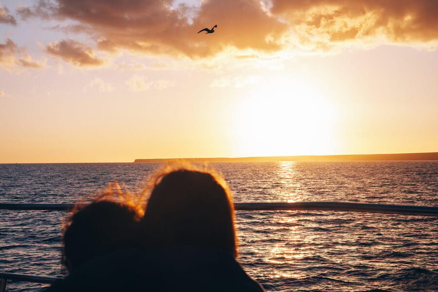 Lanzarote: Dolphin-Watching Sunset Cruise with Transfers - A relaxed evening on Puerto del Carmen’s coast