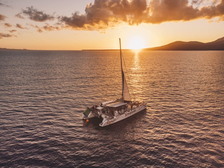 Lanzarote: Dolphin-Watching Sunset Cruise with Transfers - Searching for wild dolphins in open water