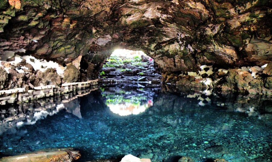 Lanzarote: Jameos del Agua & North Island for Cruise Guests - Who should book this excursion?