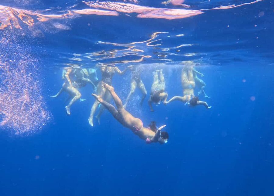 Larnaca Bay Cruise with Snorkeling - Snorkeling, swimming, and what you may actually see