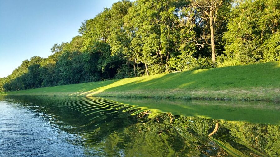 Leipzig: 2-hour Auwald Motorboat Tour - Why the Auwald belongs on your Leipzig plan