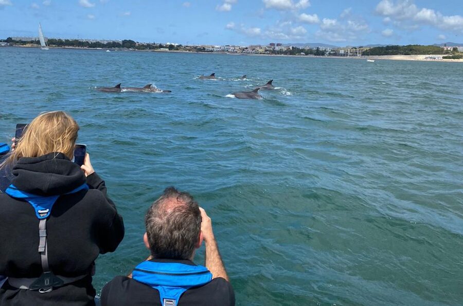 Lisbon: Dolphin Watching with Marine Biologist - Small Group - Returning past Lisbon’s landmarks