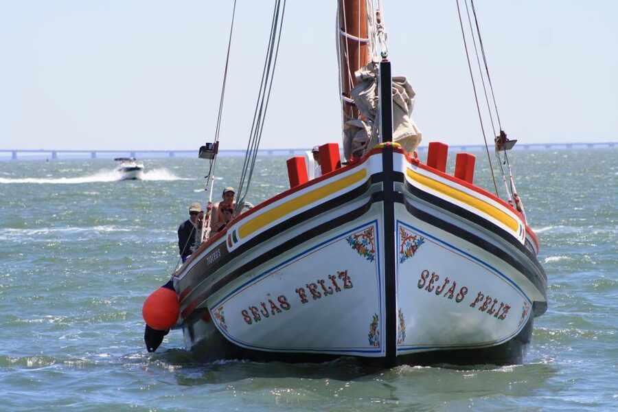 Lisbon: River Tagus Sightseeing Cruise in Traditional Vessel - São Jorge Castle and Lisbon Cathedral