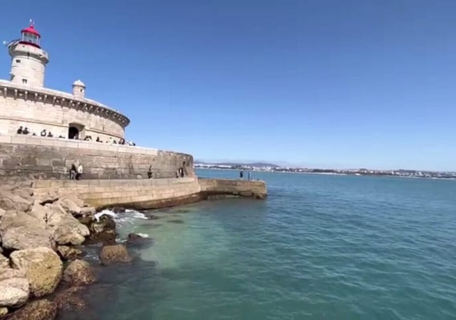 Lisbon: Tagus River Cruise to the Ocean & Dolphin Watching - Boat comfort, sea conditions, and who should skip it