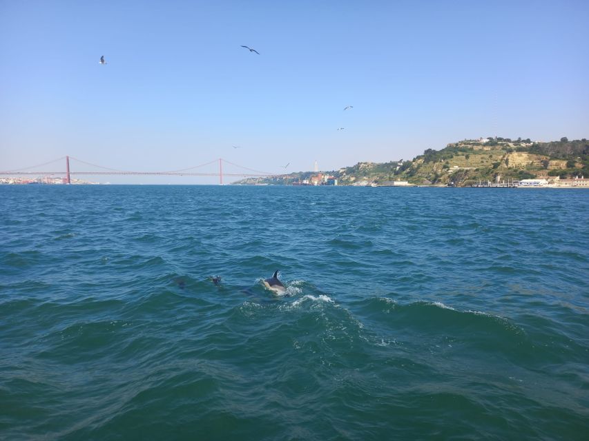 Lisbon: Tagus River Cruise to the Ocean & Dolphin Watching - Belém Tower and the Monument to the Discoveries