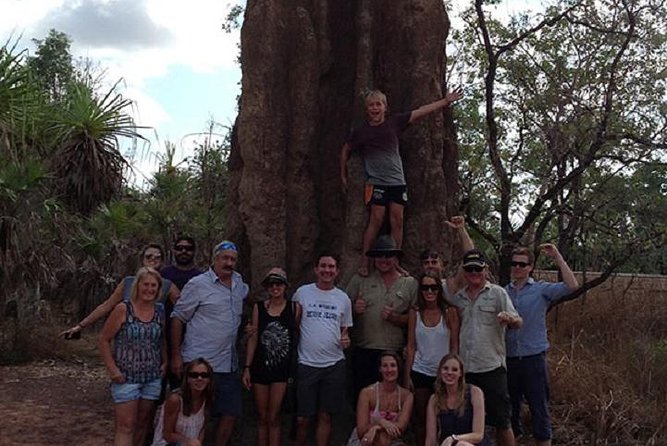 Litchfield National Park and Jumping Crocodile Cruise - Magnetic termite mounds add a smart change of pace
