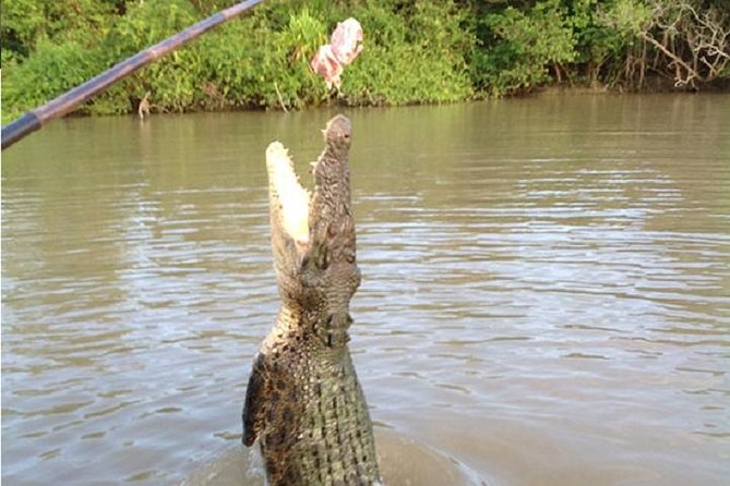 Litchfield National Park and Jumping Crocodile Cruise - Who will enjoy this tour most?