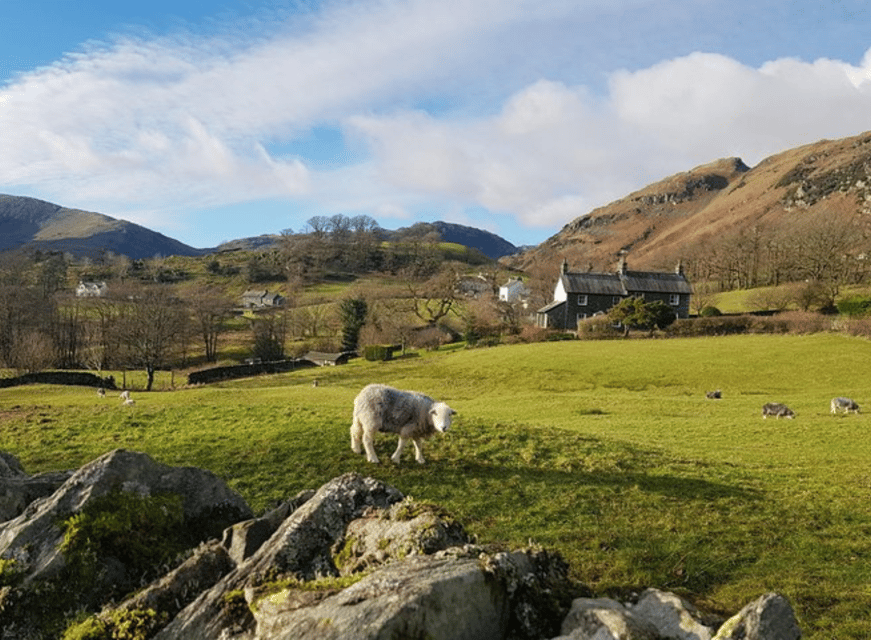 Liverpool: Lake District Tour with Lake Cruise - Key points to know before you book