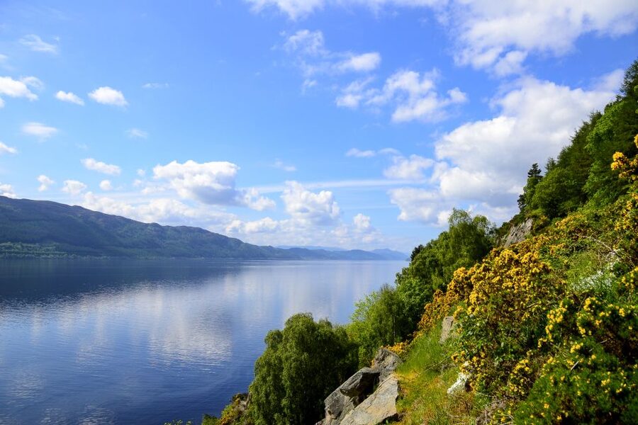 Loch Ness: Urquhart Castle Round-Trip Cruise - Should you book the Clansman Harbour cruise?