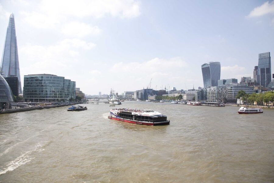 London: Afternoon Tea Cruise on the River Thames - Who should book this cruise?
