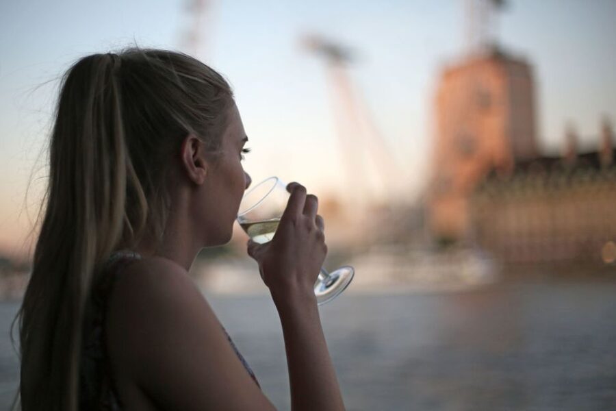 London: River Thames Evening Cruise with Bubbly and Canapés - Is $37 a fair price?