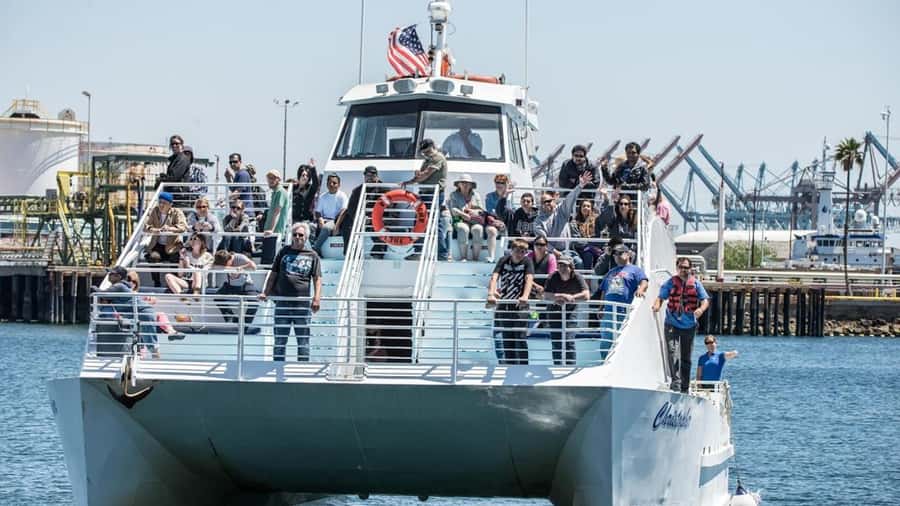Long Beach: Whale and Dolphin Watching Cruise - Is $45 a fair price?