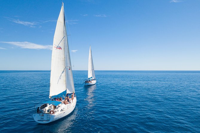 Los Cabos Luxury Sailing, Snorkel and Lunch Cruise - Is the $149 price good value?