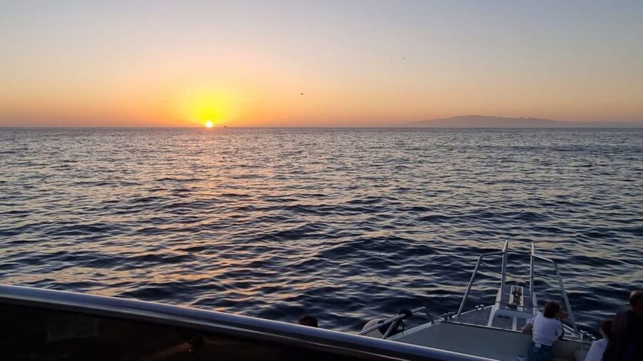 Los Cristianos: Eco Yacht Whale Watching Tour at Sunset - Should you book the Travelin Lady?