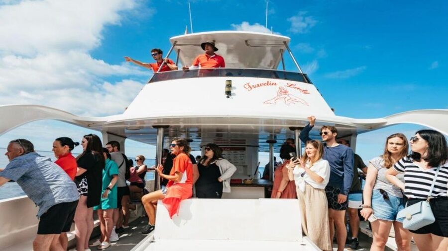 Los Cristianos: Eco Yacht Whale Watching Tour at Sunset - Twenty minutes searching for dolphins and whales