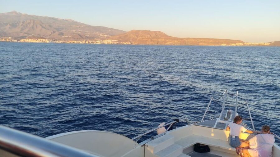 Los Cristianos: Eco Yacht Whale Watching Tour at Sunset - When the swim stop happens