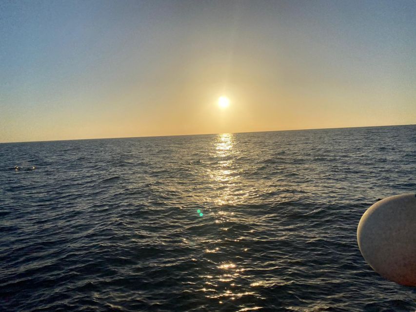 Los Cristianos: Eco Yacht Whale Watching Tour at Sunset - What $17 really buys you