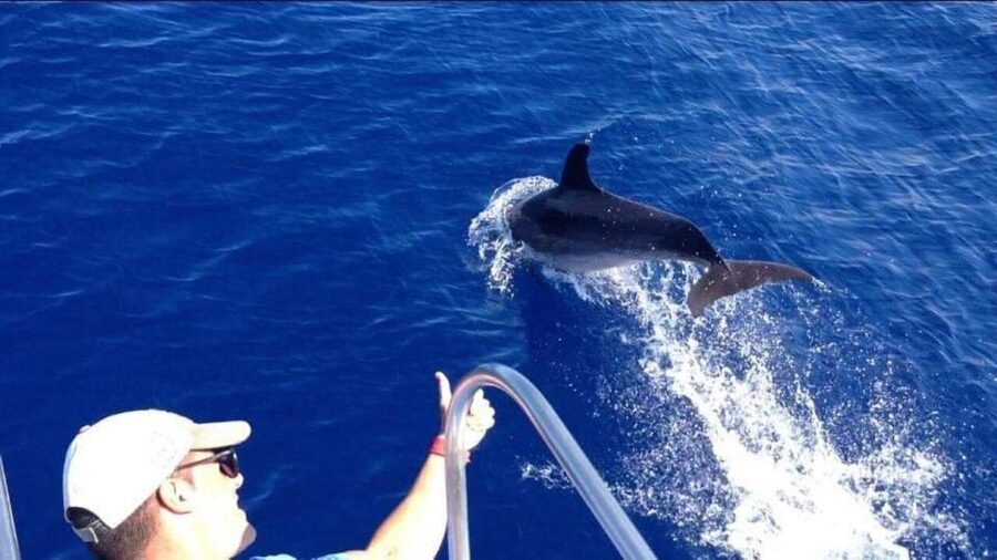 Los Cristianos: Eco Yacht Whale Watching Tour at Sunset - Who will enjoy this short tour most