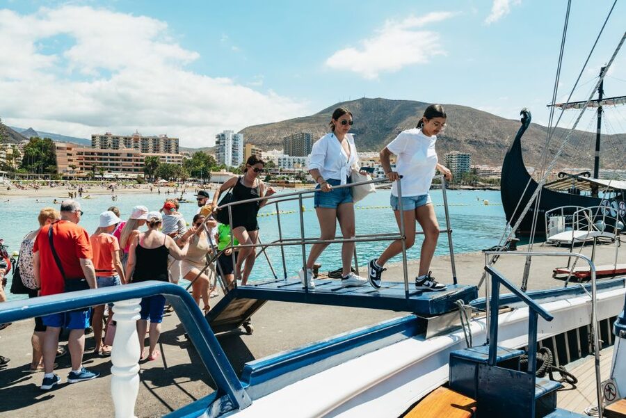 Los Cristianos Respectful No-Chase Whale and Dolphin Safari - From Zone A to open water