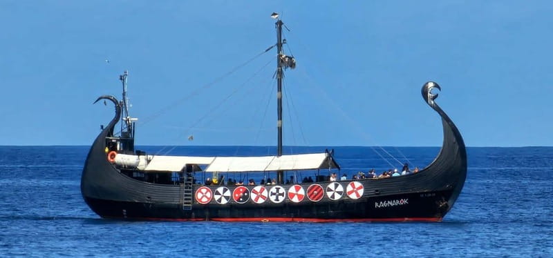 Los Cristianos: Whale Watching Cruise w/Swim Stop & Drinks - Sea conditions and comfort on a three-hour cruise
