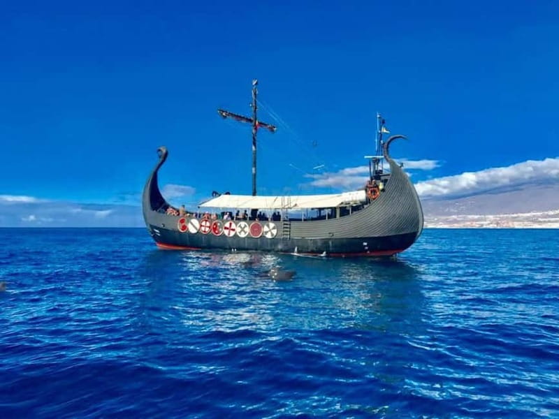 Los Cristianos: Whale Watching Cruise w/Swim Stop & Drinks - Searching for whales and dolphins between Tenerife and La Gomera