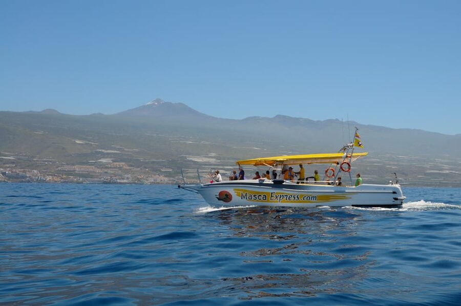 Los Gigantes: Dolphin & Whale Watching Cruise with Swim Stop - The first stretch along Tenerife’s western coast
