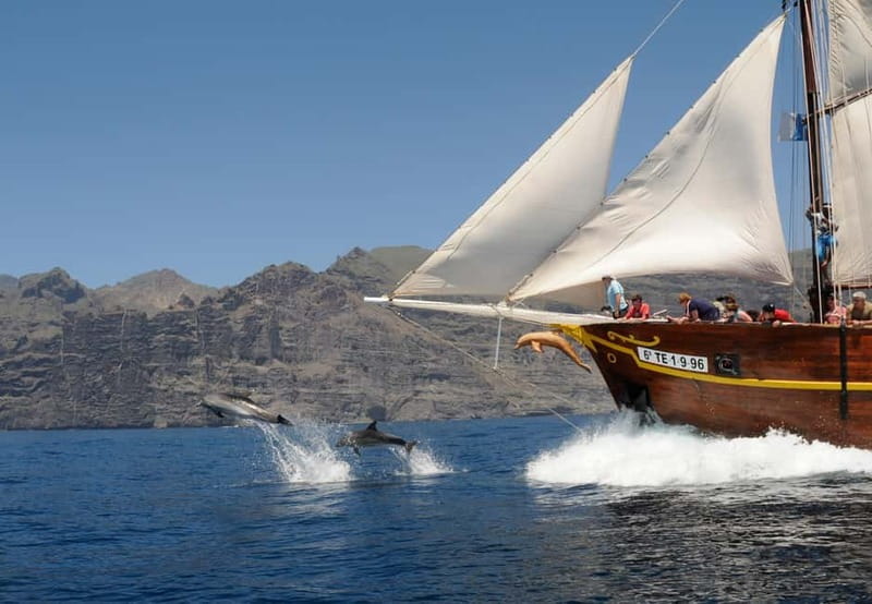 Los Gigantes: Dolphin & Whale Watching Tour on a Pirate Boat - Los Gigantes and Masca from the Water