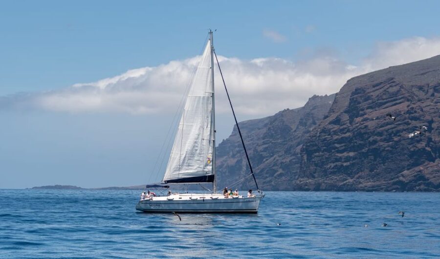 Los Gigantes: Sailing Excursion with Swimming, Drink & Tapas - Why this Los Gigantes boat trip is different