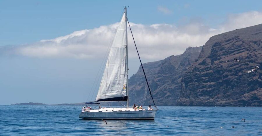 Los Gigantes: Sailing Excursion with Swimming, Drink & Tapas - Searching for whales and dolphins offshore