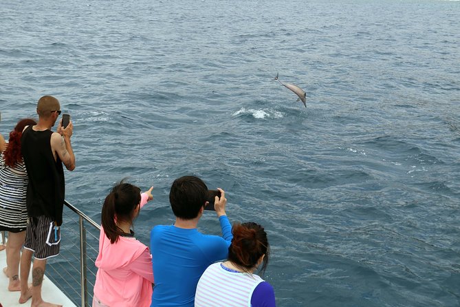 Luxury Snorkel Cruise, Local Buffet with Whale & Dolphin Watch - Onboard Photos and the Easy Memory-Making Factor