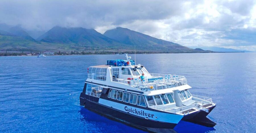 Ma'alaea Harbor: Whale Watching Tour Aboard Power Catamaran - Key things to know before booking