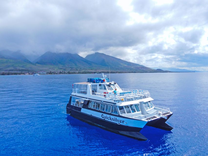 Ma'alaea Harbor: Whale Watching Tour Aboard Power Catamaran - Why Maalaea Bay is a prime whale-watching setting