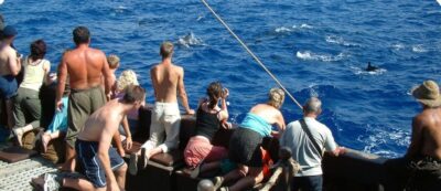 Madeira Pirate Ship: 3-Hour Boat Trip