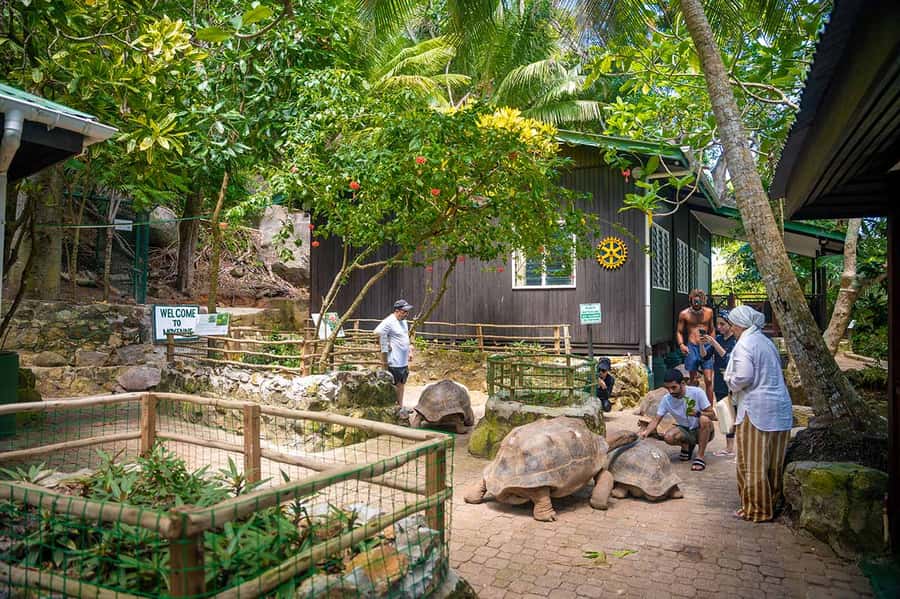 Mahé: Saint-Anne Marine Park and Moyenne Island Cruise - Cruising Saint-Anne Marine Park