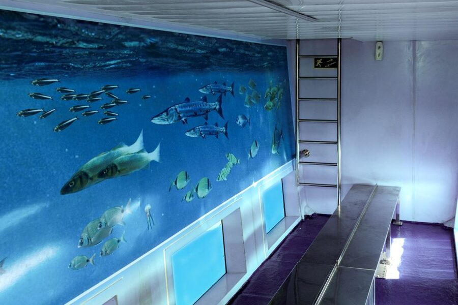 Mahon: Harbor Boat Tour with Underwater Viewing & Commentary - Commentary that adds real value
